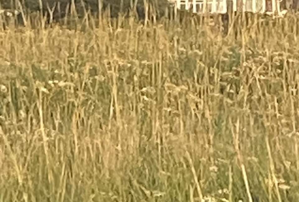 Beautiful Family Compound with Sea View on the Oregon Coast - Gearhart, Oregon