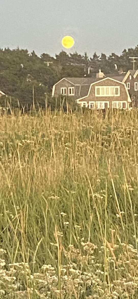 Beautiful Family Compound with Sea View on the Oregon Coast - Gearhart, Oregon