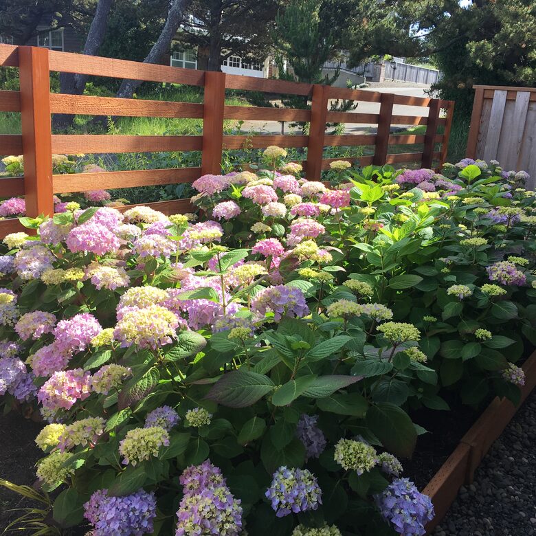 Beautiful Family Compound with Sea View on the Oregon Coast - Gearhart, Oregon
