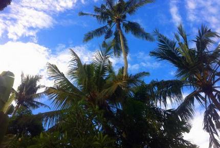 Taman Wana Luxury Tropical Sylba Villa, Bali - Keborkan, Indonesia