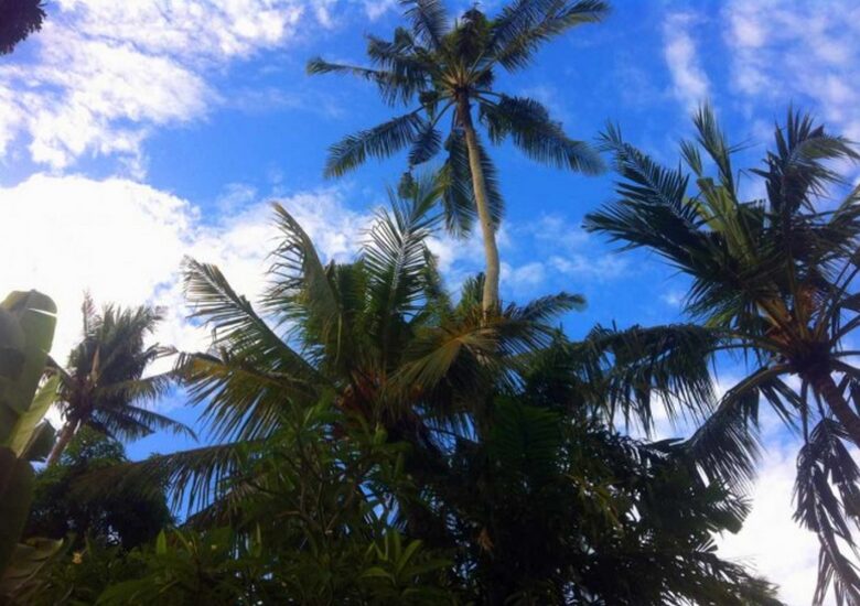 Taman Wana Luxury Tropical Sylba Villa, Bali - Keborkan, Indonesia