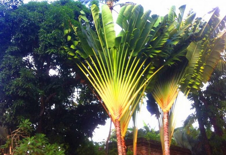 Taman Wana Luxury Tropical Sylba Villa, Bali - Keborkan, Indonesia