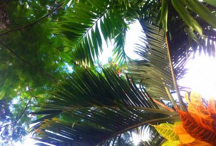 Taman Wana Luxury Tropical Sylba Villa, Bali - Keborkan, Indonesia