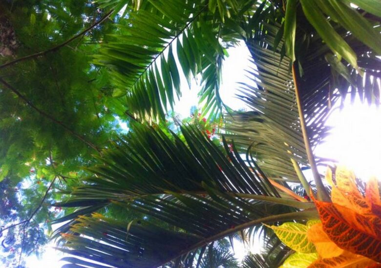 Taman Wana Luxury Tropical Sylba Villa, Bali - Keborkan, Indonesia