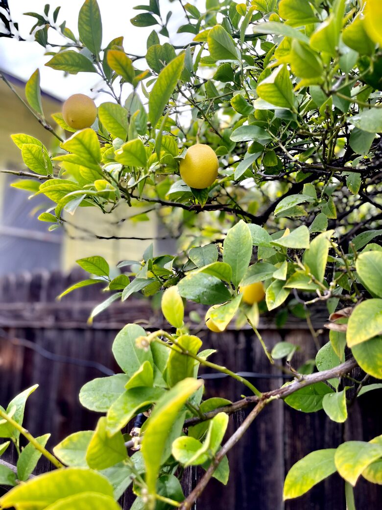 Highland Park, LA | Stylish Two Bedroom House - Los Angeles, California