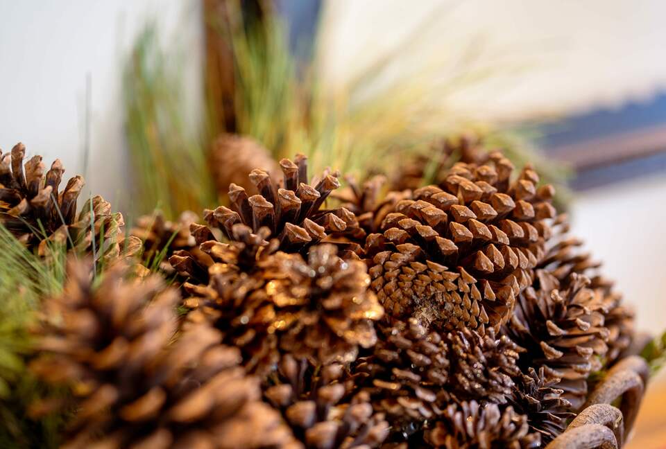 Ute Lane Retreat - Vail, Colorado