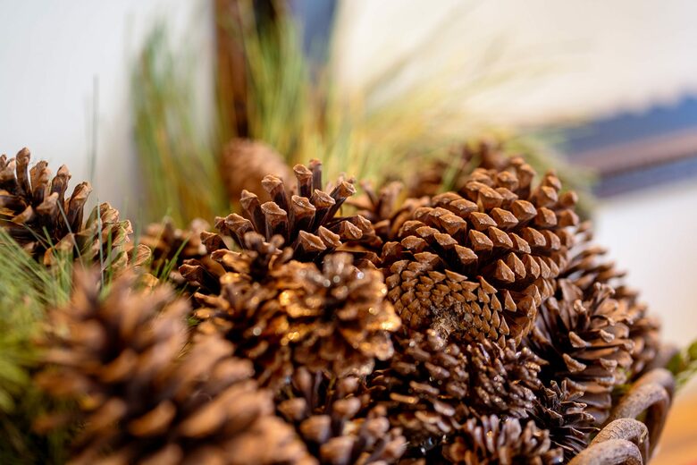 Ute Lane Retreat - Vail, Colorado