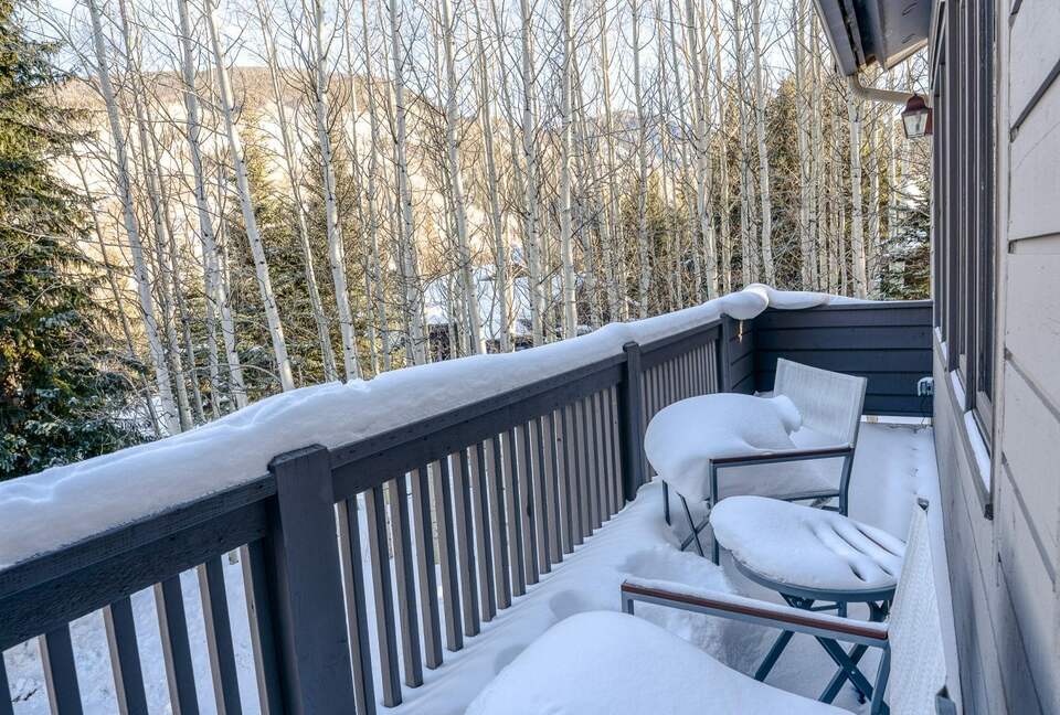 Ute Lane Retreat - Vail, Colorado