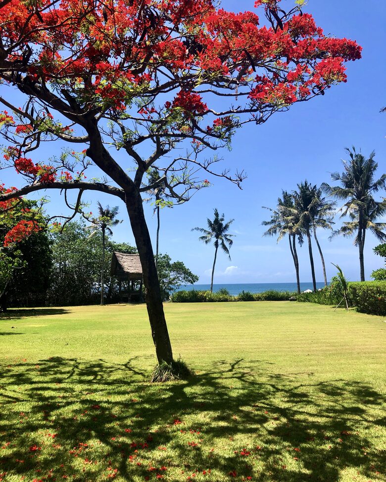 Ombak Luwung Beachfront Estate, Bali (R) - Canggu, Kuta, Indonesia