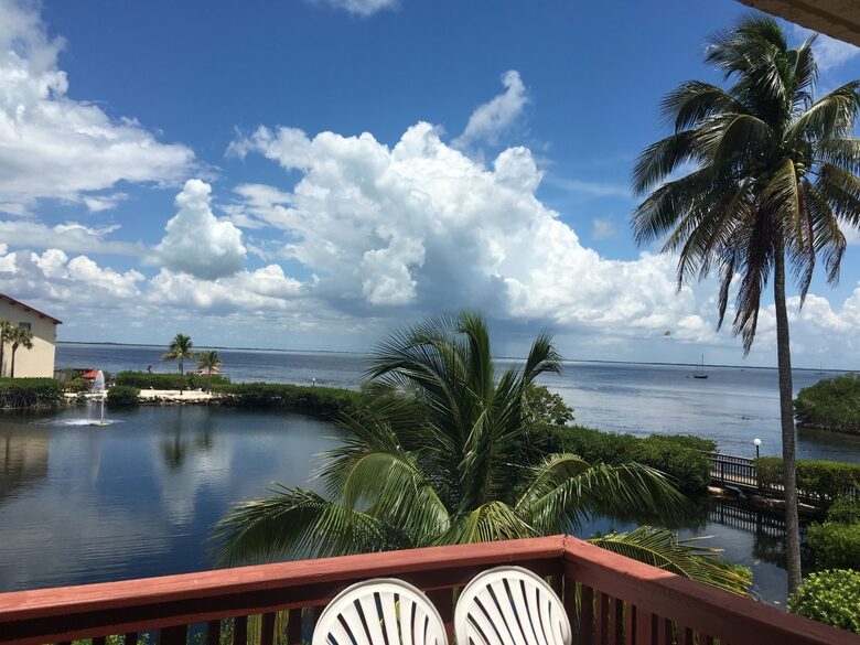 View from Master Bedroom