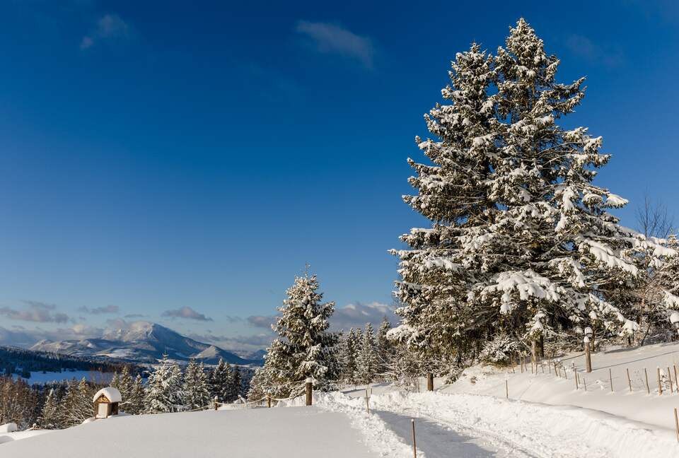 CHALET BOROVÉ - Malé Borové, Slovakia