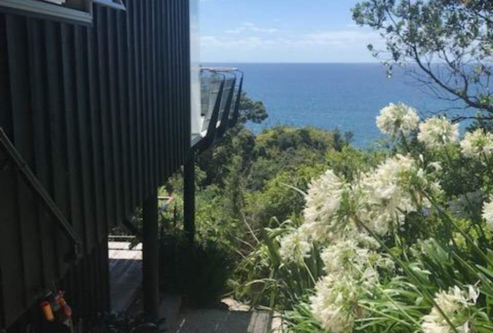 The Ship | Daniels Reef - Leigh, New Zealand