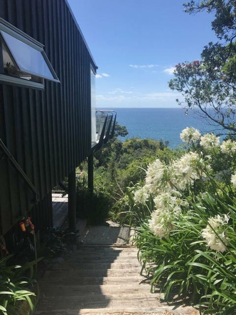 The Ship | Daniels Reef - Leigh, New Zealand