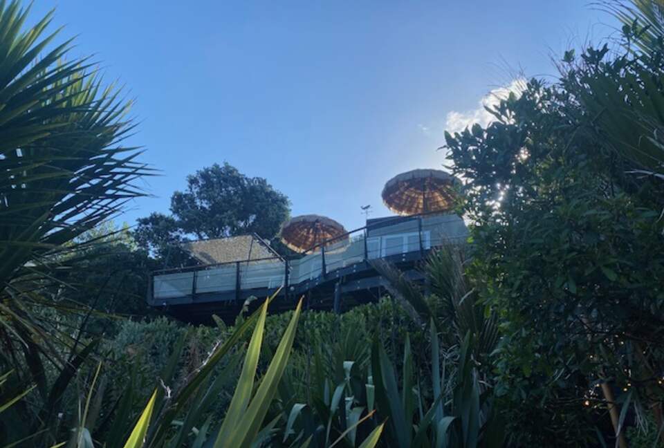 The Ship | Daniels Reef - Leigh, New Zealand