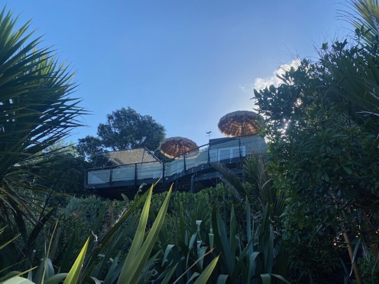 The Ship | Daniels Reef - Leigh, New Zealand