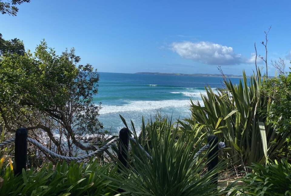 The Ship | Daniels Reef - Leigh, New Zealand