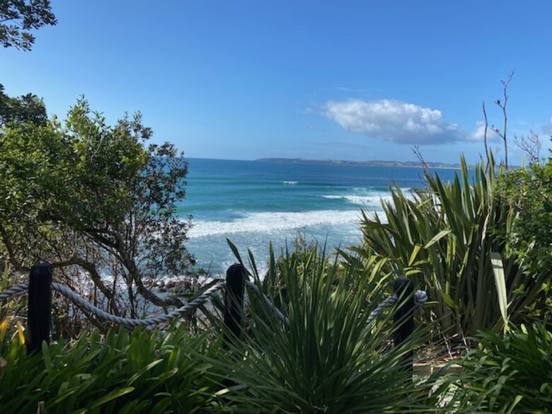 The Ship | Daniels Reef - Leigh, New Zealand