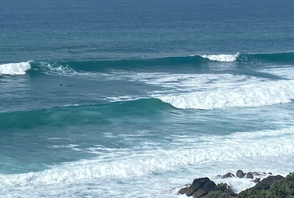 The Ship | Daniels Reef - Leigh, New Zealand