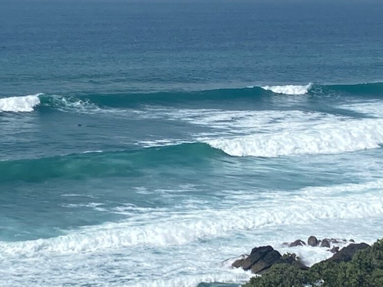 The Ship | Daniels Reef - Leigh, New Zealand