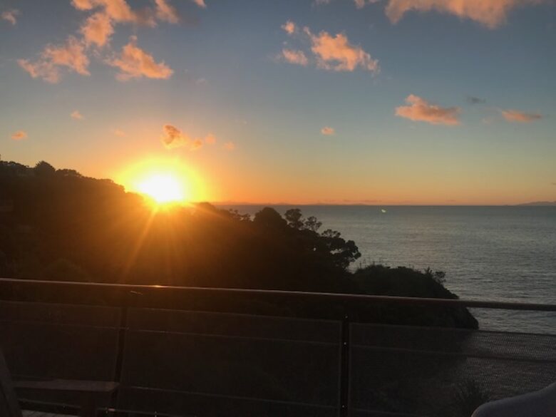 The Ship | Daniels Reef - Leigh, New Zealand