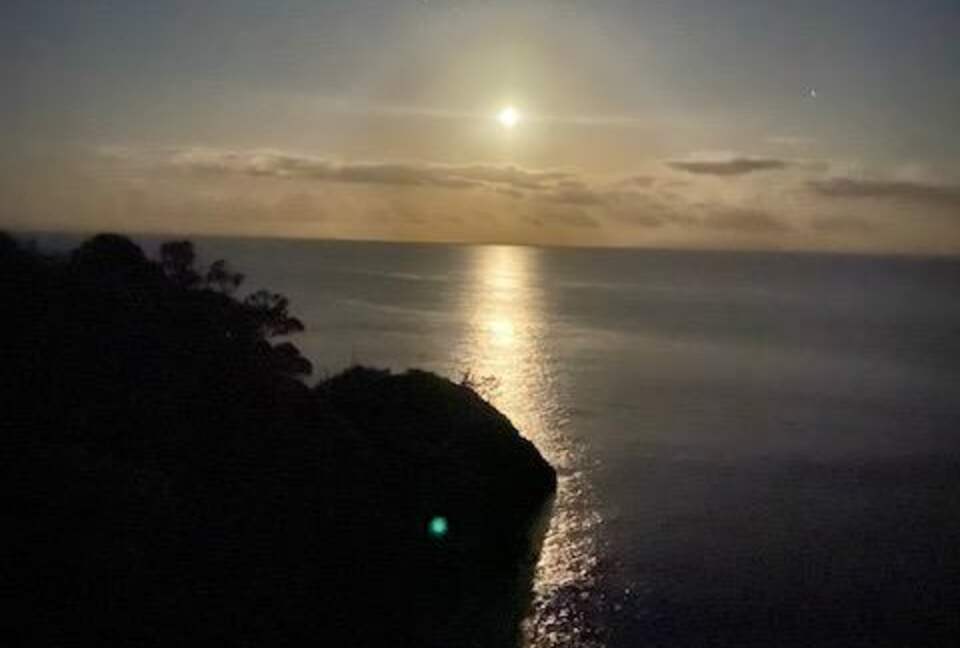 The Ship | Daniels Reef - Leigh, New Zealand