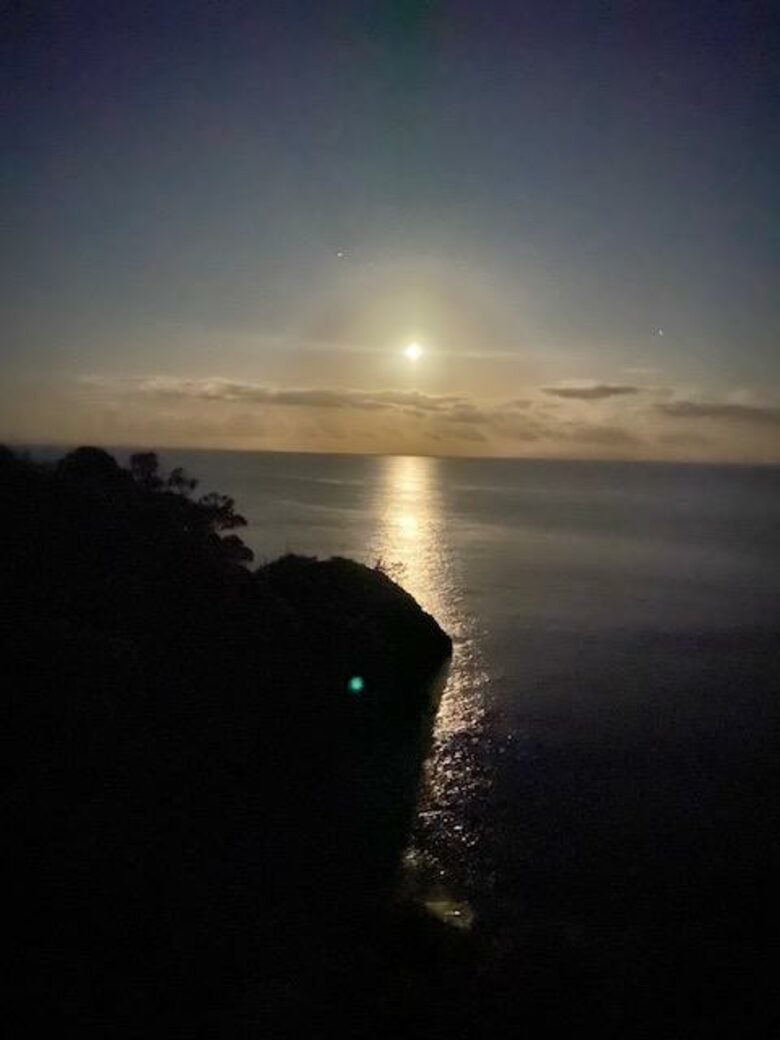 The Ship | Daniels Reef - Leigh, New Zealand