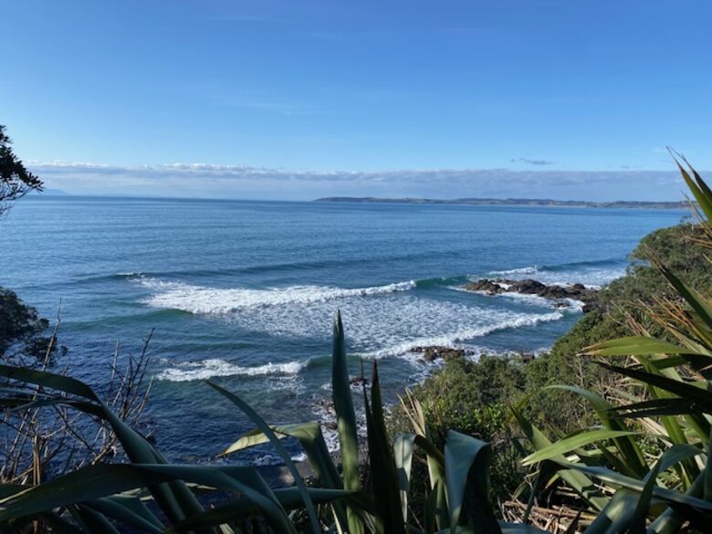 Daniels Reef (view from private bar)