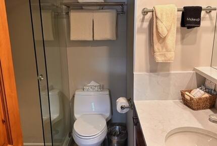 Perfectly located Aspen Condominium| Quick walk to downtown & three blocks from Aspen Gondola - Aspen, Colorado