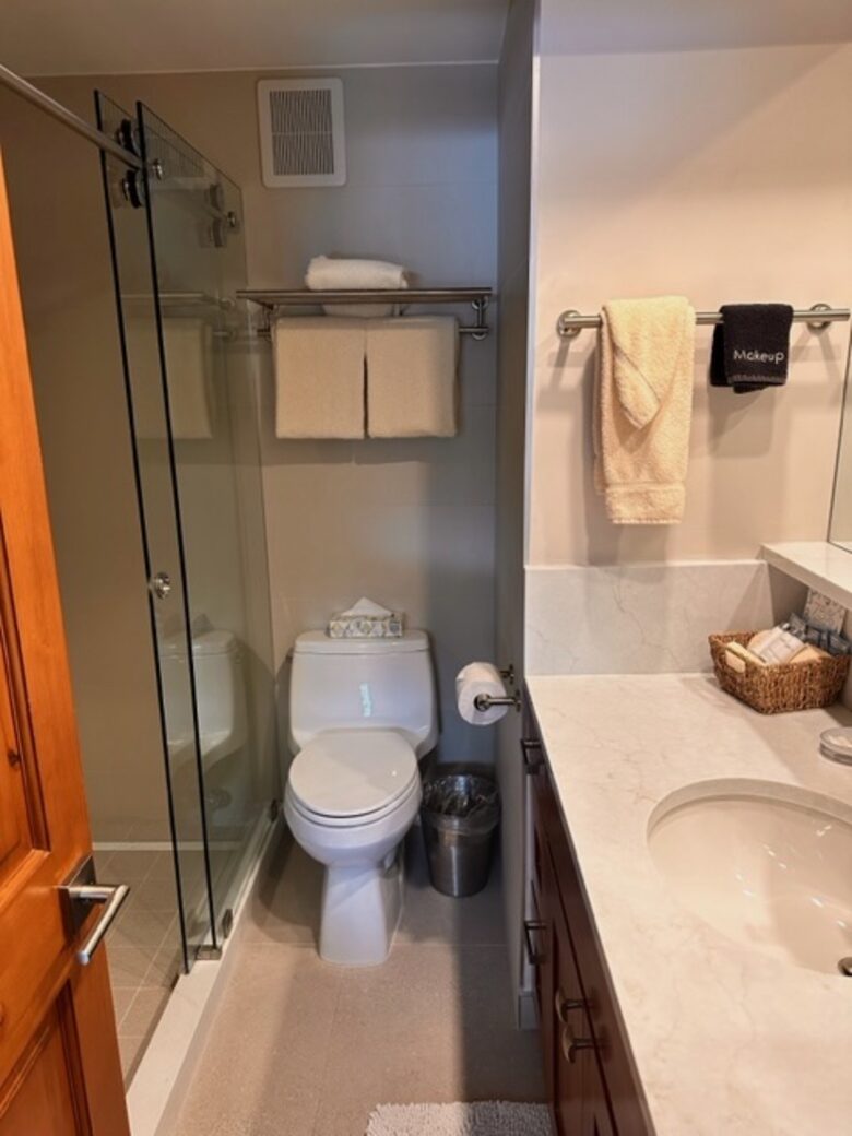 Perfectly located Aspen Condominium| Quick walk to downtown & three blocks from Aspen Gondola - Aspen, Colorado