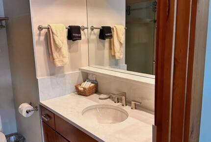 Perfectly located Aspen Condominium| Quick walk to downtown & three blocks from Aspen Gondola - Aspen, Colorado