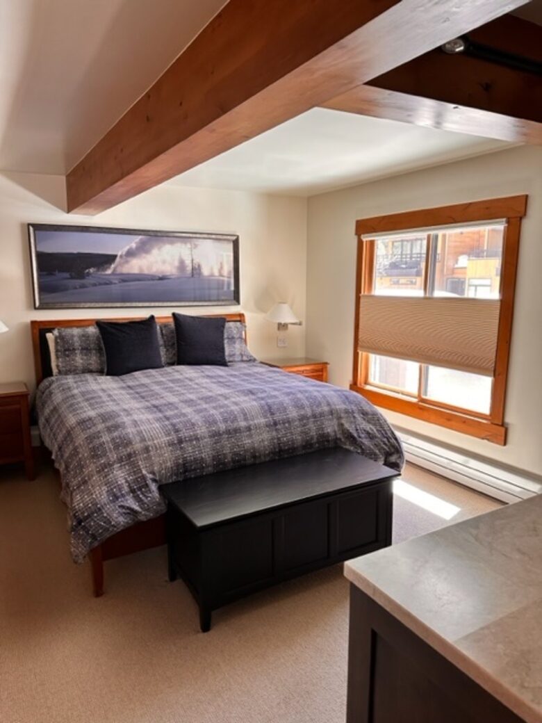 Perfectly located Aspen Condominium| Quick walk to downtown & three blocks from Aspen Gondola - Aspen, Colorado