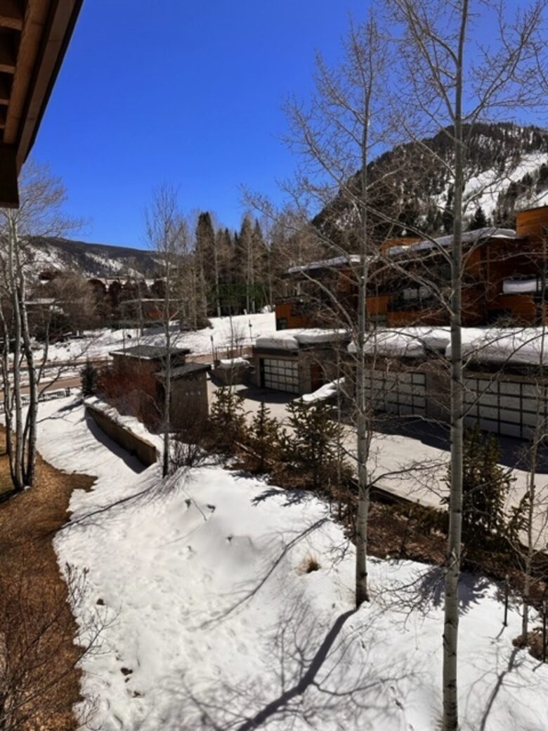 Perfectly located Aspen Condominium| Quick walk to downtown & three blocks from Aspen Gondola - Aspen, Colorado