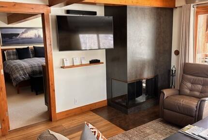 Perfectly located Aspen Condominium| Quick walk to downtown & three blocks from Aspen Gondola - Aspen, Colorado