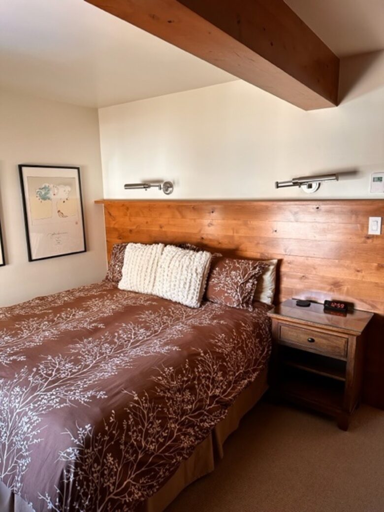 Perfectly located Aspen Condominium| Quick walk to downtown & three blocks from Aspen Gondola - Aspen, Colorado