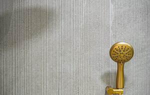 The Regal Estate with a Pool - Las Vegas, Nevada