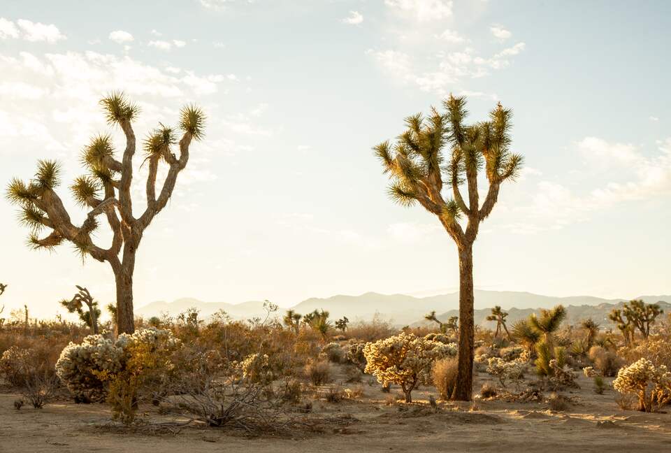 Peaceful Pueblo Modern Oasis | Spa + Game Room - Joshua Tree, California
