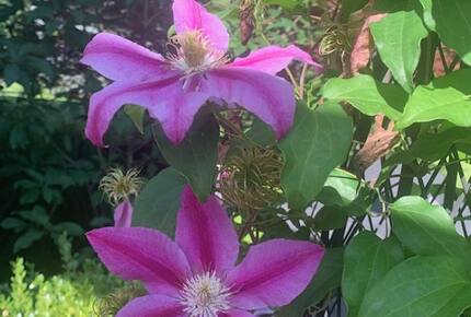 Luxurious and Modern Retreat in the Catskills - Kerhonkson, New York