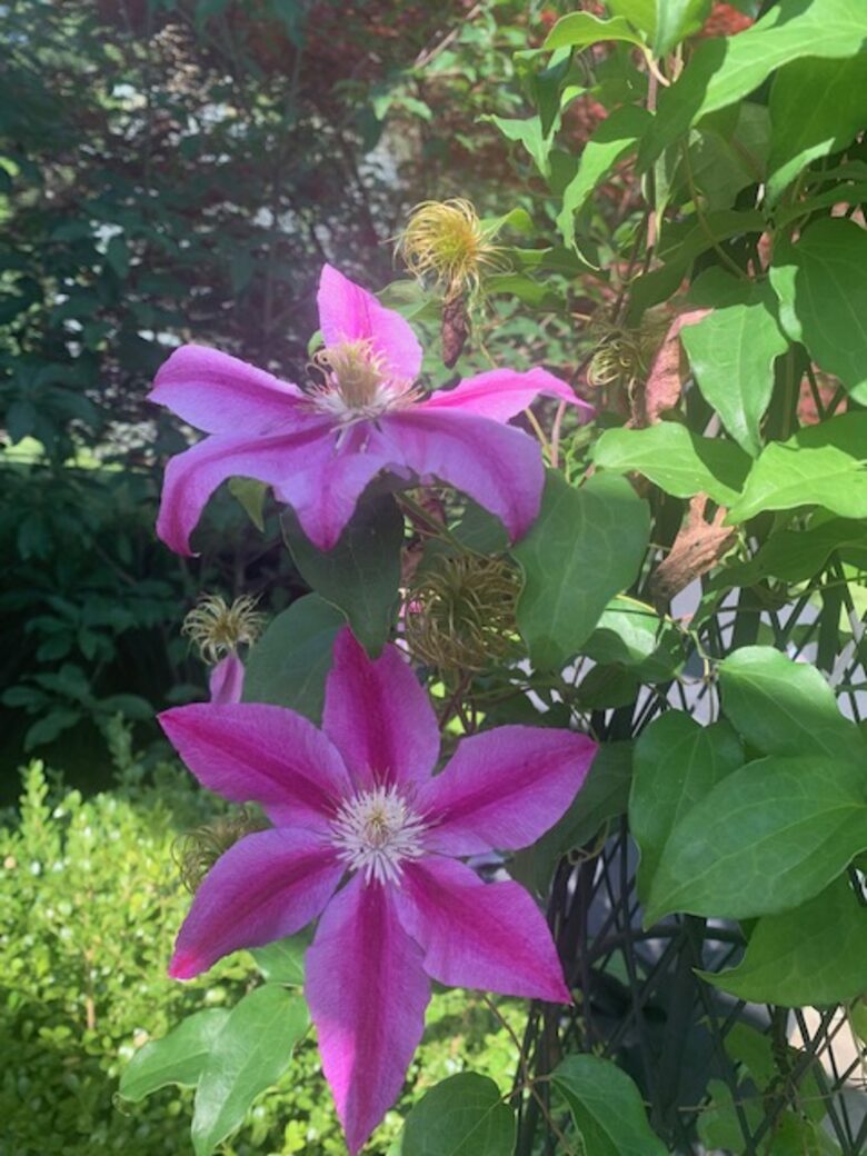 Luxurious and Modern Retreat in the Catskills - Kerhonkson, New York