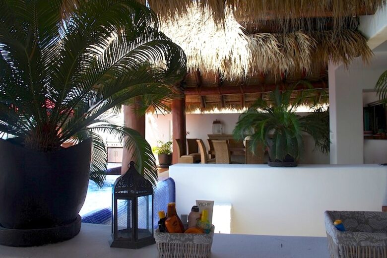 La Pintadita - IXTAPA, ZIHUATANEJO, Mexico