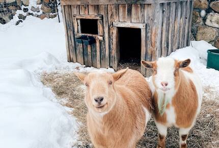 Historic Renovated Barn | At Boorn Brook Farm - Manchester Center, Vermont