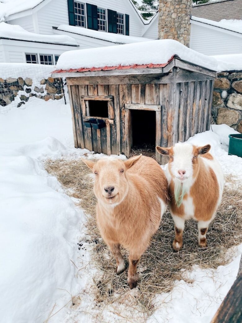 Historic Renovated Barn | At Boorn Brook Farm - Manchester Center, Vermont
