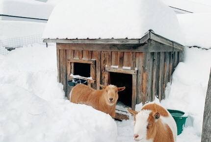 Historic Renovated Barn | At Boorn Brook Farm - Manchester Center, Vermont