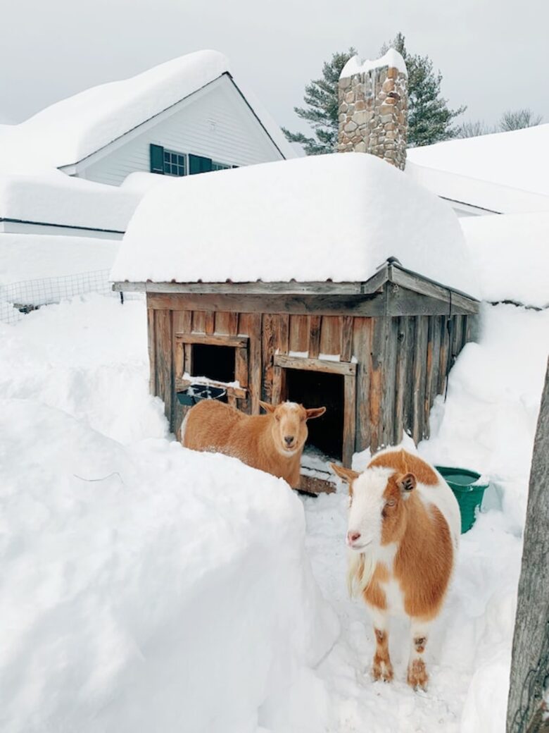 Historic Renovated Barn | At Boorn Brook Farm - Manchester Center, Vermont