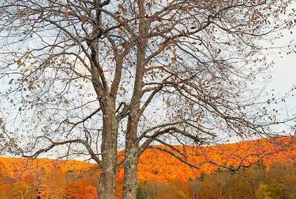 Historic Renovated Barn | At Boorn Brook Farm - Manchester Center, Vermont