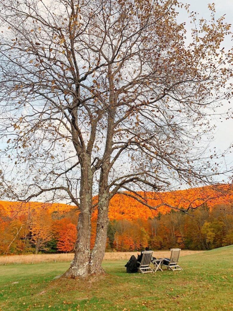 Historic Renovated Barn | At Boorn Brook Farm - Manchester Center, Vermont