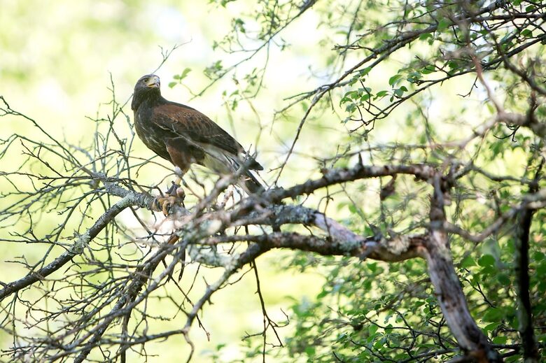 Historic Renovated Barn | At Boorn Brook Farm - Manchester Center, Vermont