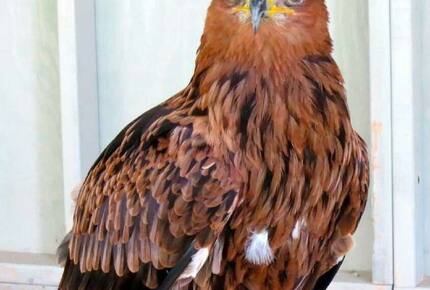 Historic Renovated Barn | At Boorn Brook Farm - Manchester Center, Vermont