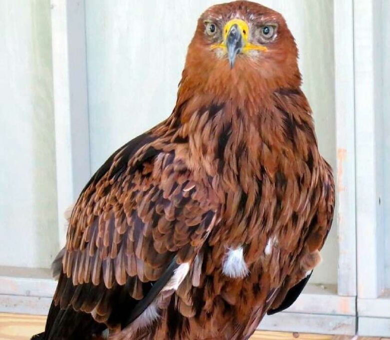 Historic Renovated Barn | At Boorn Brook Farm - Manchester Center, Vermont