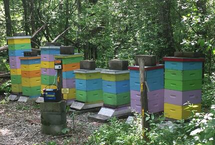 Historic Renovated Barn | At Boorn Brook Farm - Manchester Center, Vermont