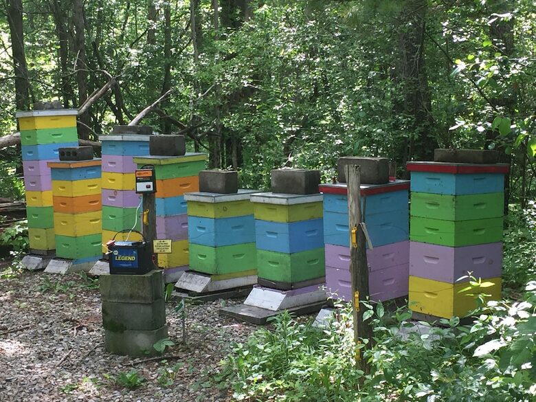 Historic Renovated Barn | At Boorn Brook Farm - Manchester Center, Vermont